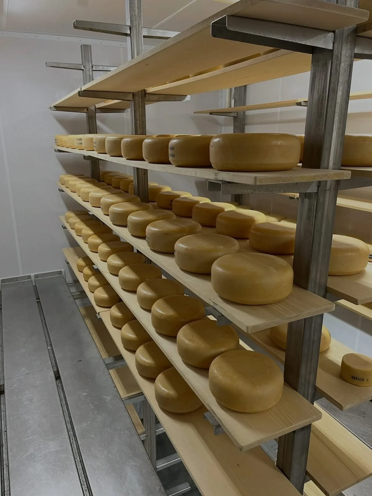 8 hours left.

Heritage chicken from @maybornacres. 

Feta and cumin gouda from Kasemeister Creamery.

Window closes at 6 PM! Link in first comment.