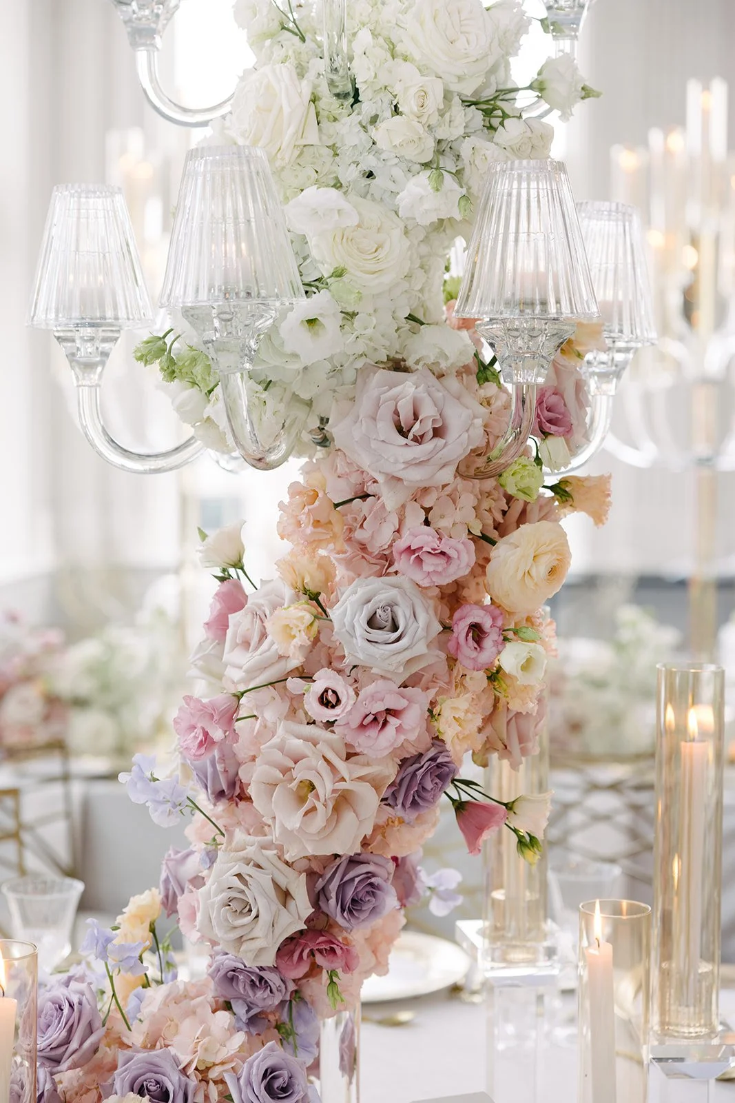 MangoStudios-F-0920_websize (1).jpg