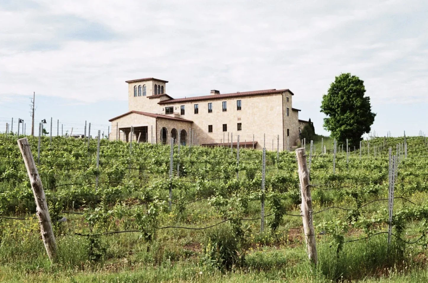 Mari Vineyards.jpg