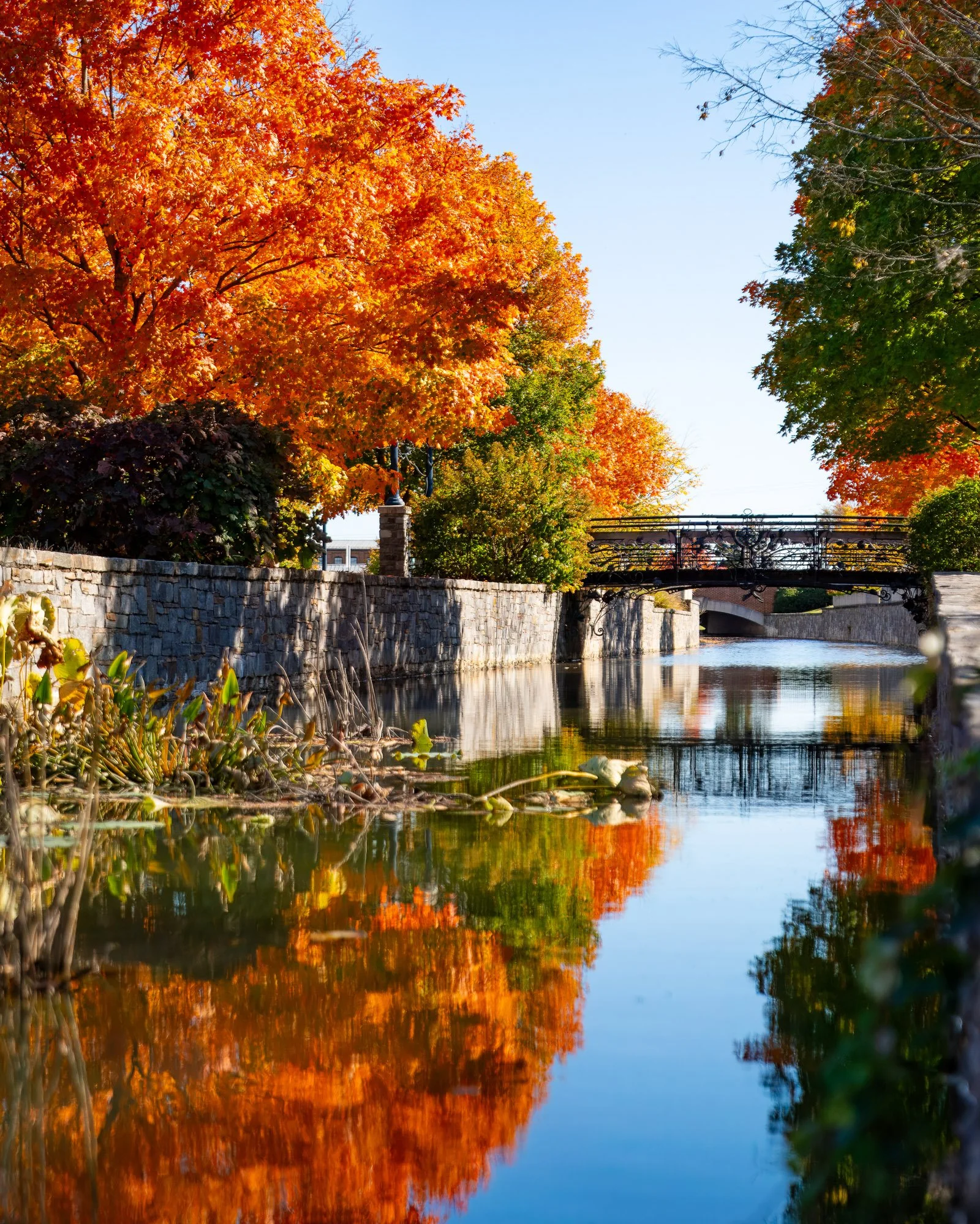 fall-iron-bridge-reflection-along-carroll-creek-001 .jpg