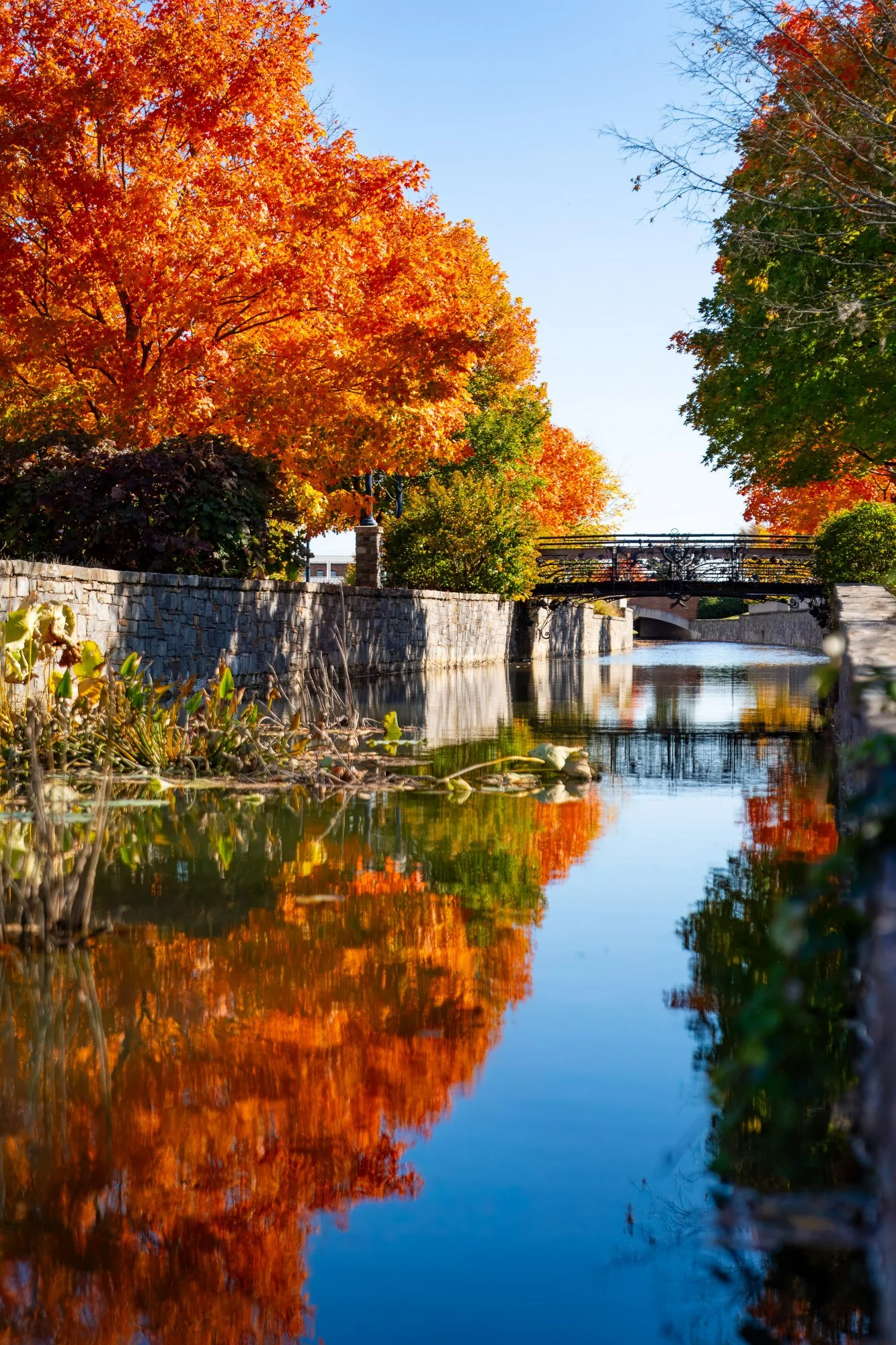 iron-bridge-carroll-creek-fall-reflection-downtown-frederick-md-vertical-001.jpg