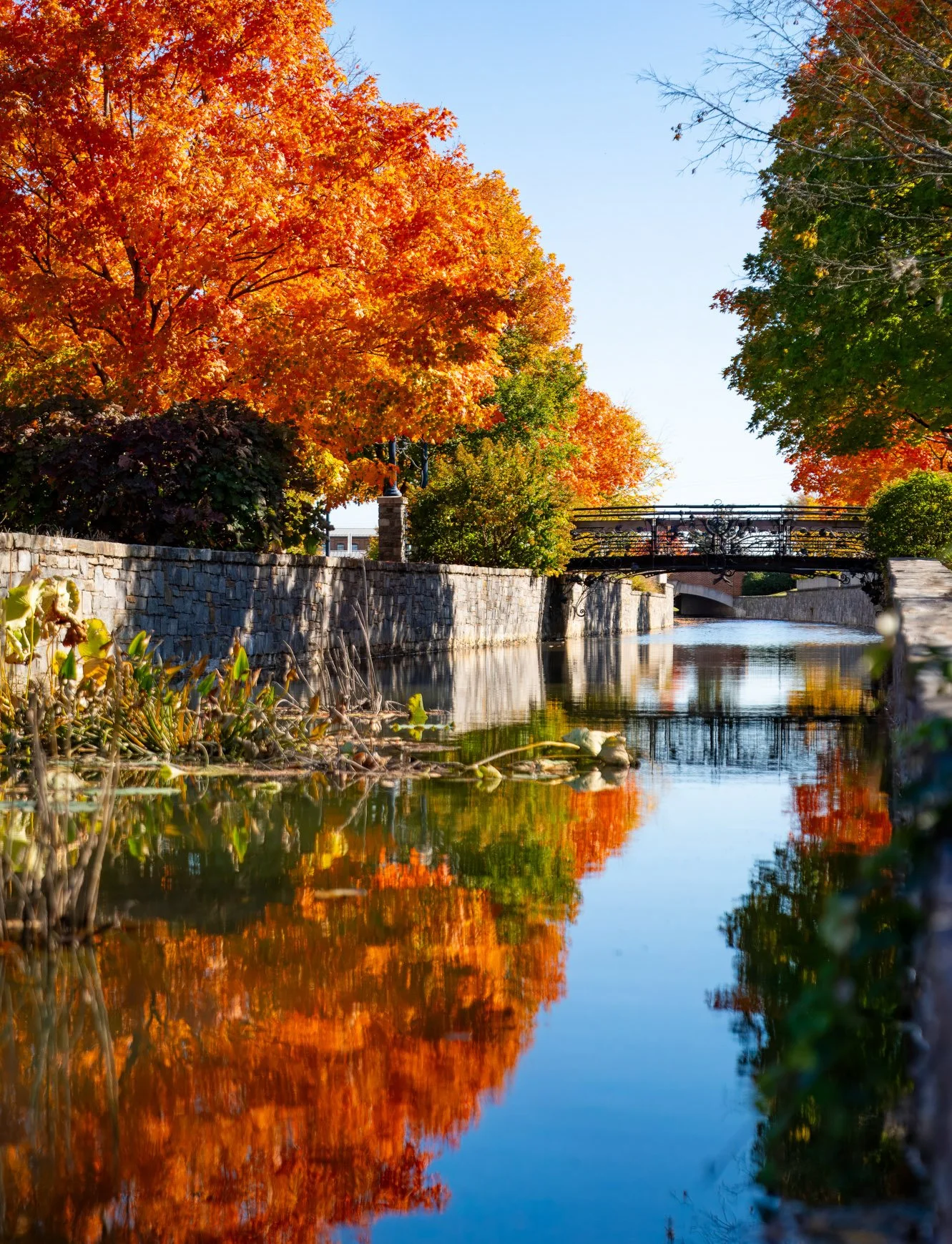 iron-bridge-carroll-creek-fall-reflection-frederick-vertical-001.jpg