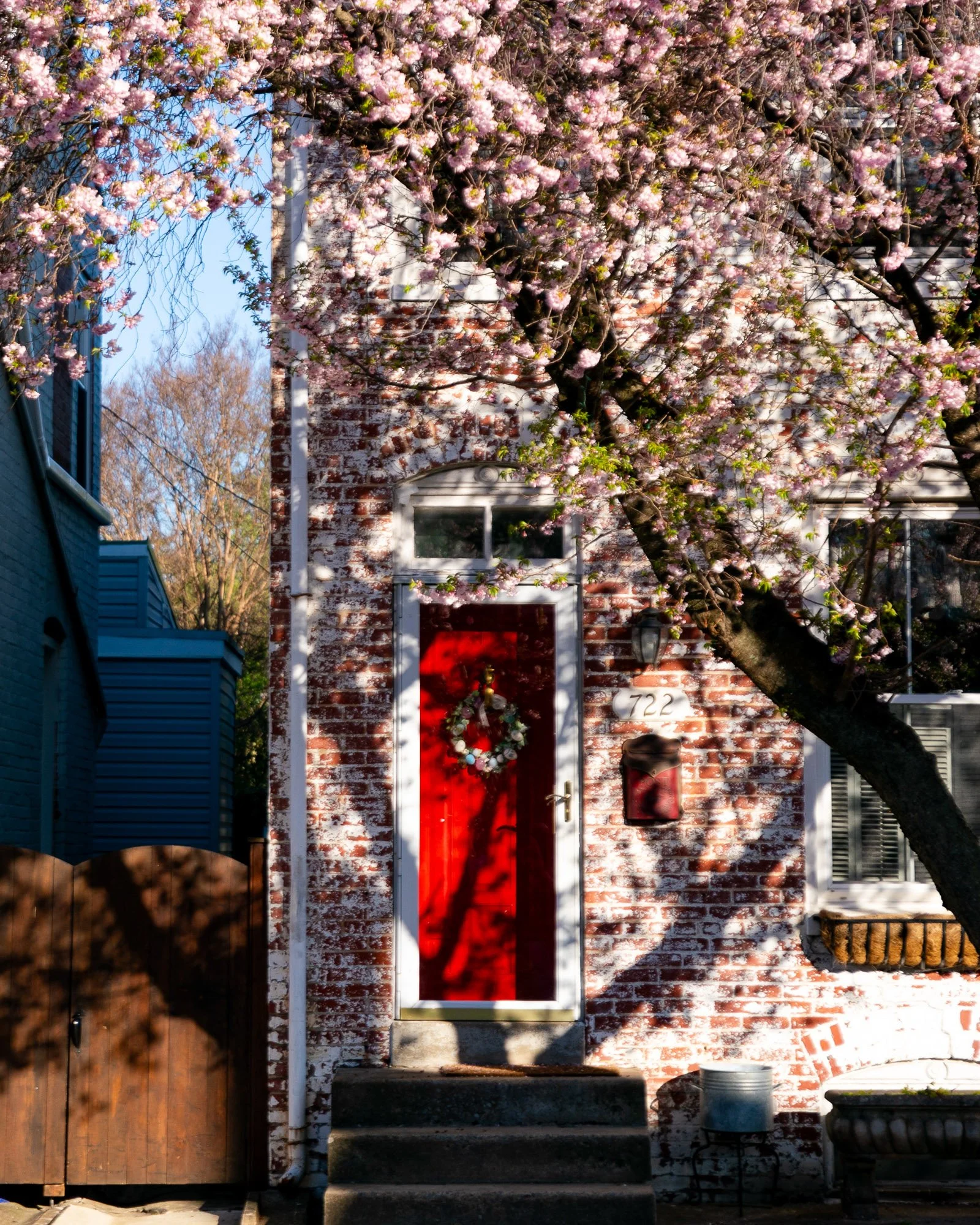 red-front-door-north-market-street-cherry-blossom-001.jpg