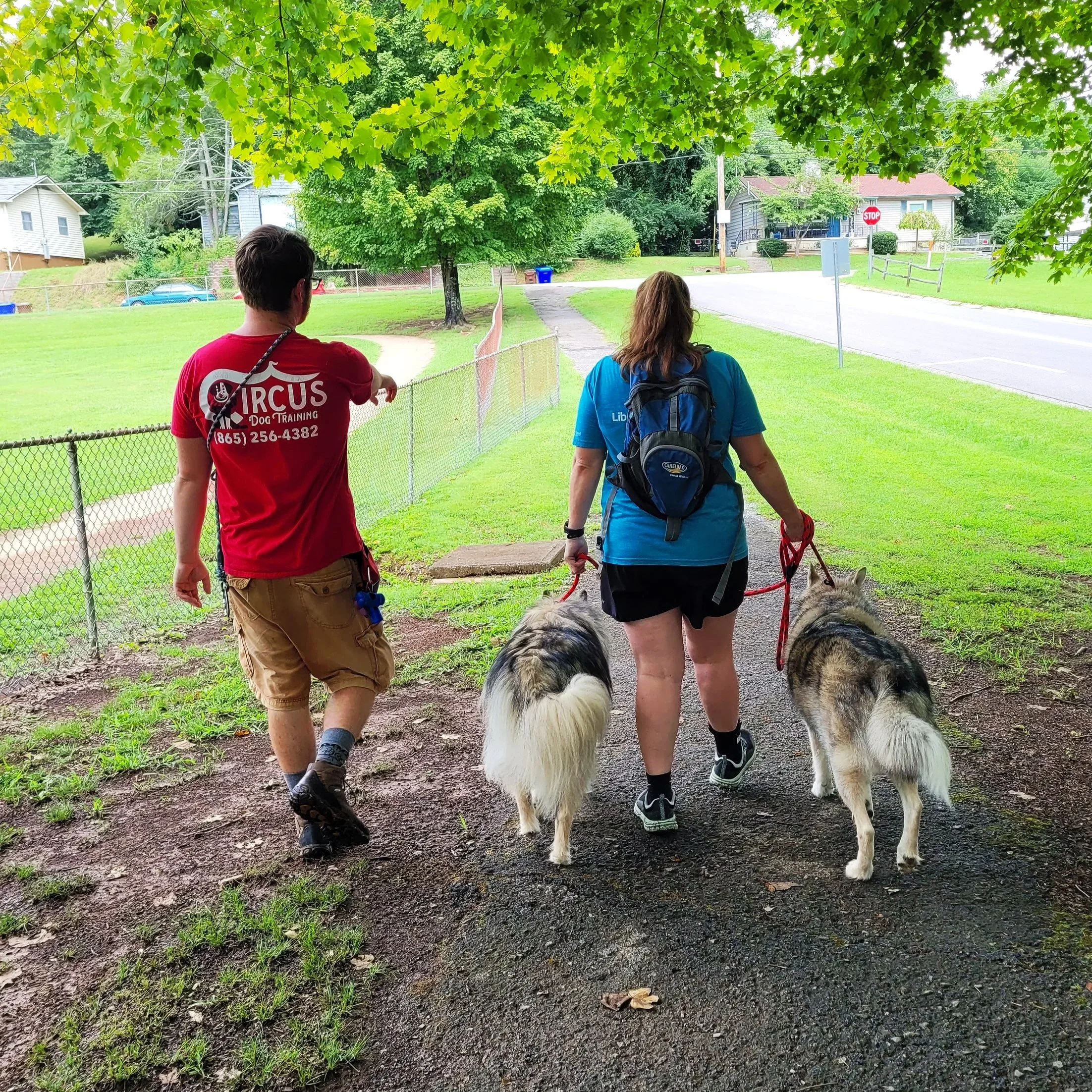 20250824_115440.jpg