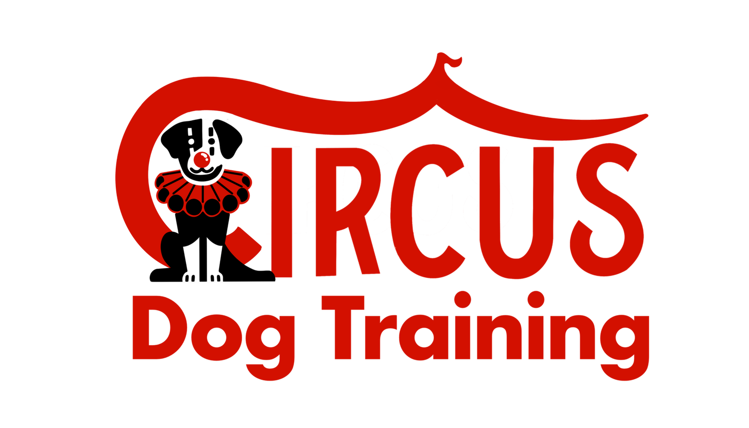 Circus Dog Training