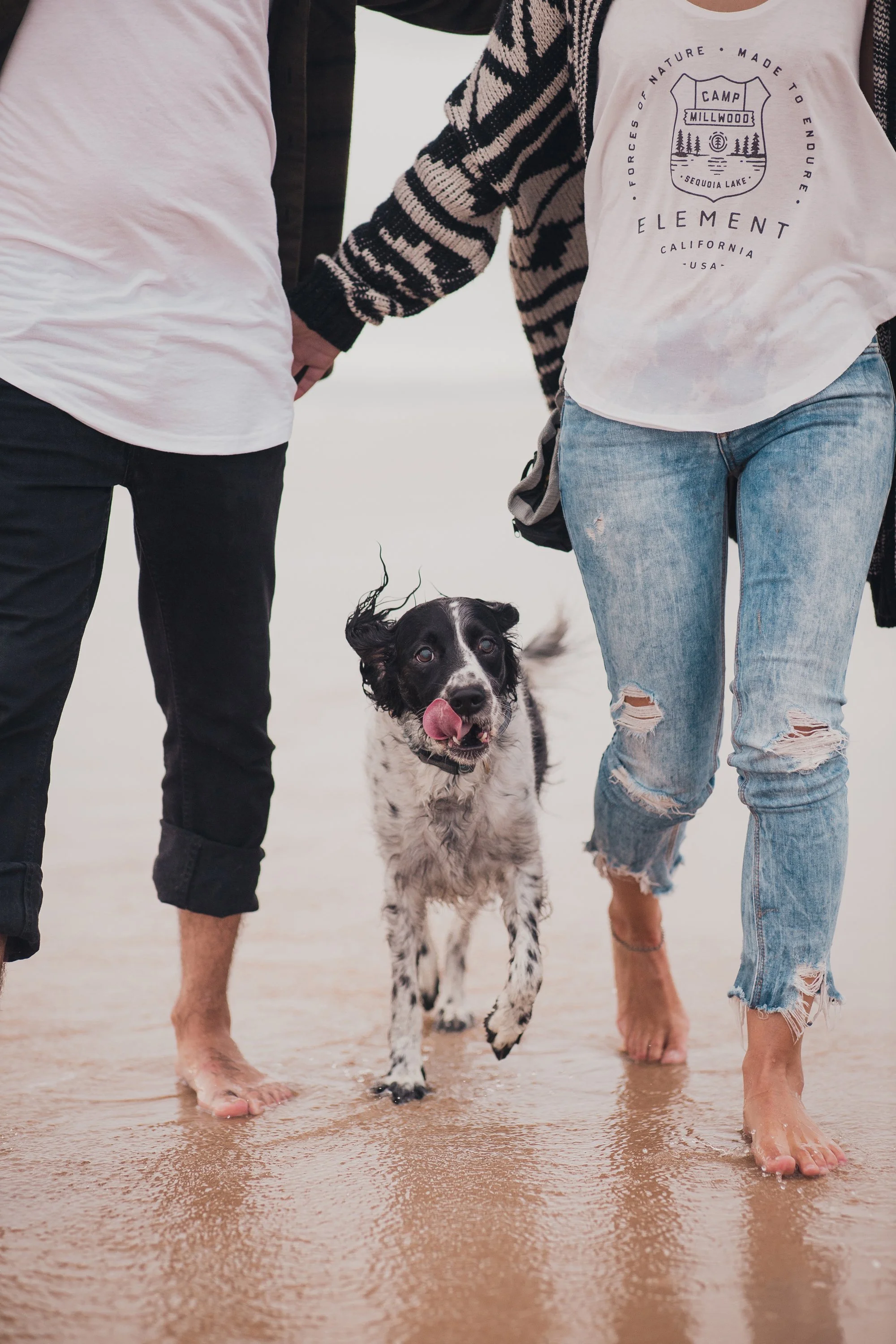 Fotografia para marcas e redes sociais da BPets. Para influenciadores. Fotografia de produto e campanha, lifestyle. Fotografia de animais de estimação e Pets