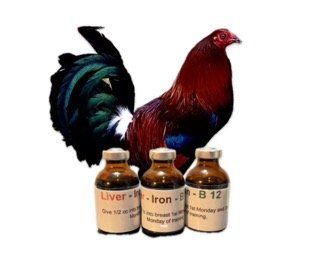 Liver-Iron-B-12