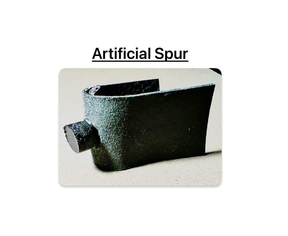 Artificial Spur