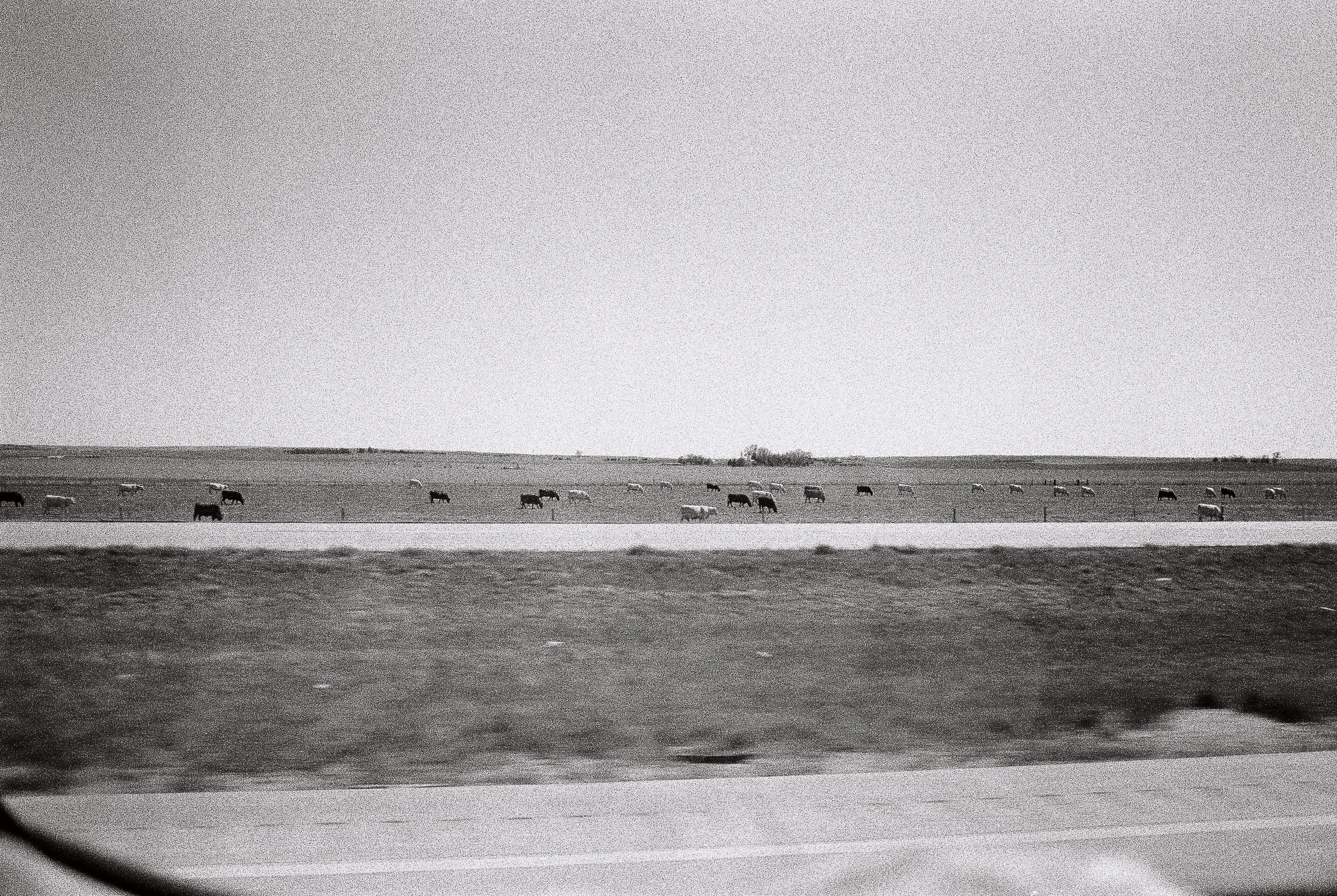3015 050924 1-007 copy.jpg