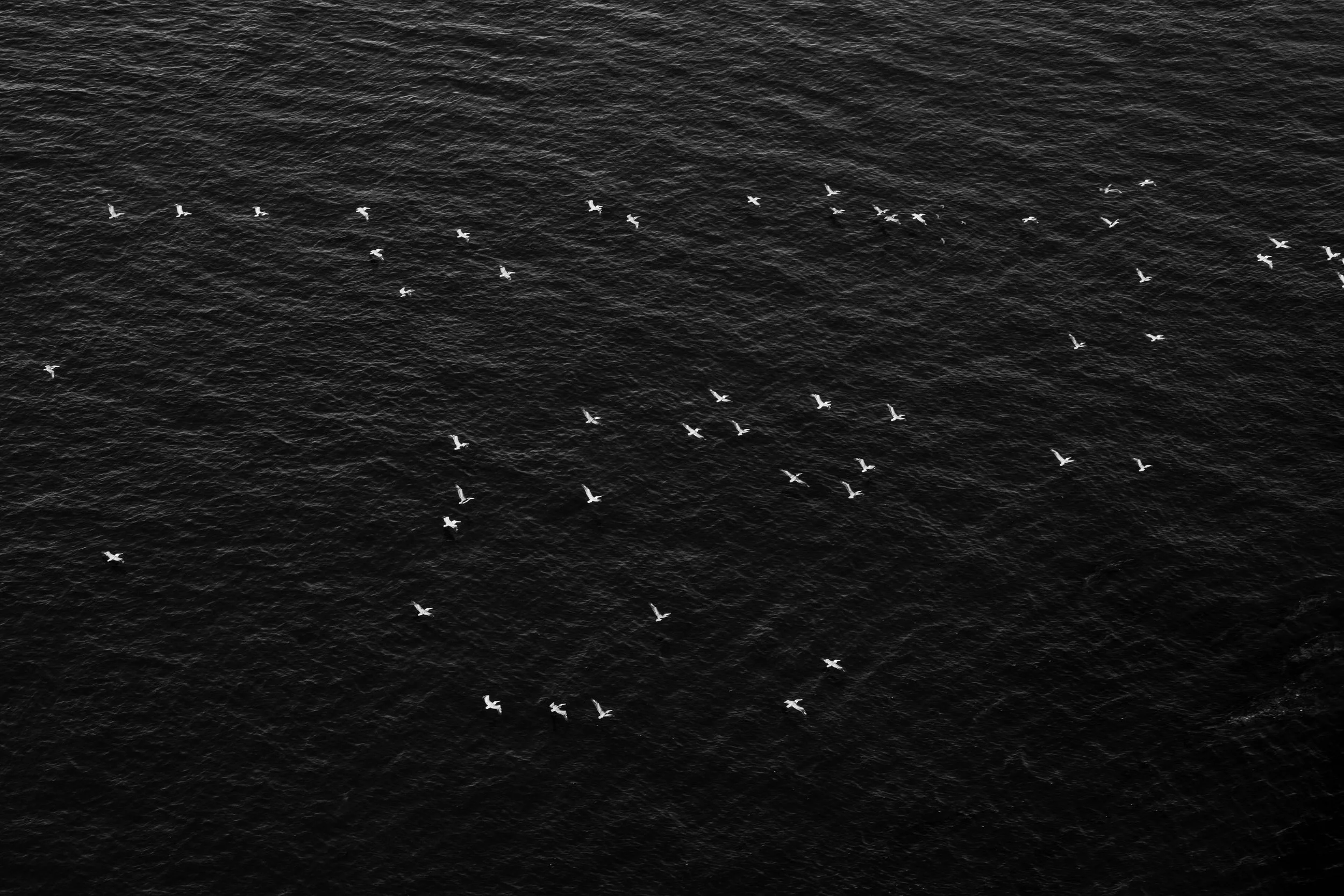 DSC03653 copy.jpg