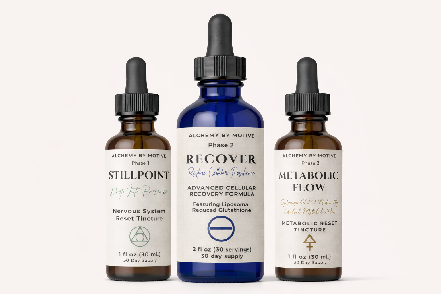 ChatGPT Image Mar 20, 2026, 10_20_30 AM.png