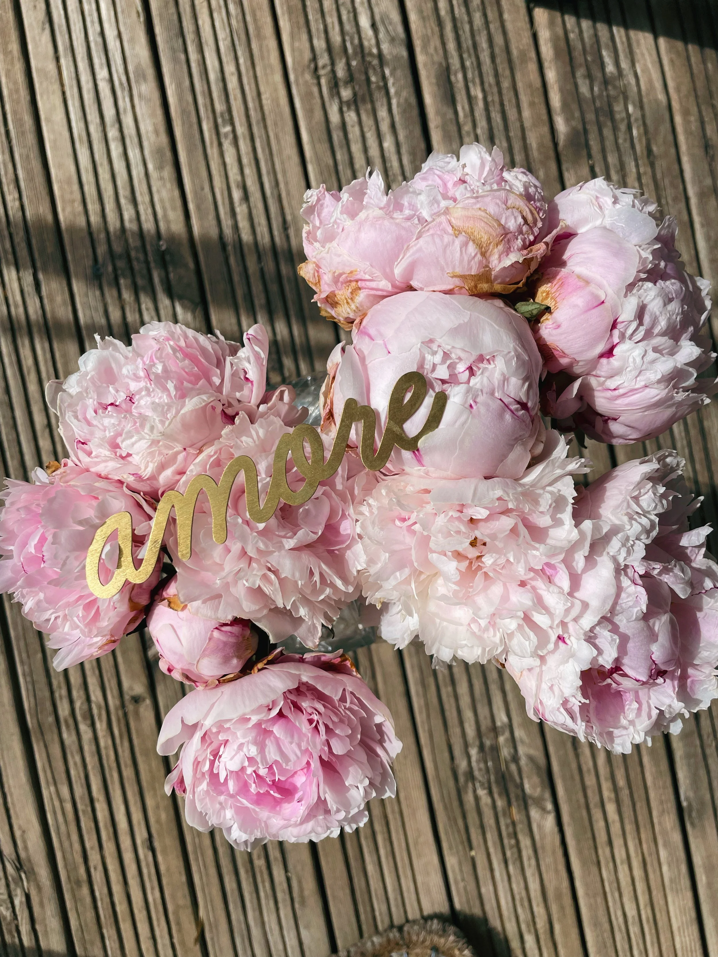 AfterlightImage (1) 23.jpg