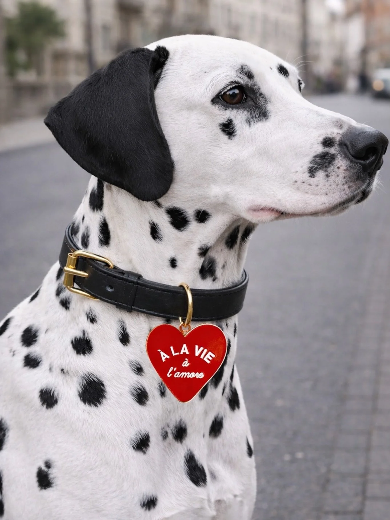 Le m&eacute;daillon coeur &hearts;️ 

Malin, styl&eacute; et &agrave; la fois pratique, il s&rsquo;adapte au gr&eacute; de vos envies.
Suspendu &eacute;l&eacute;gamment &agrave; la laisse pour une touche mode en balade ou transform&eacute; en m&eacut