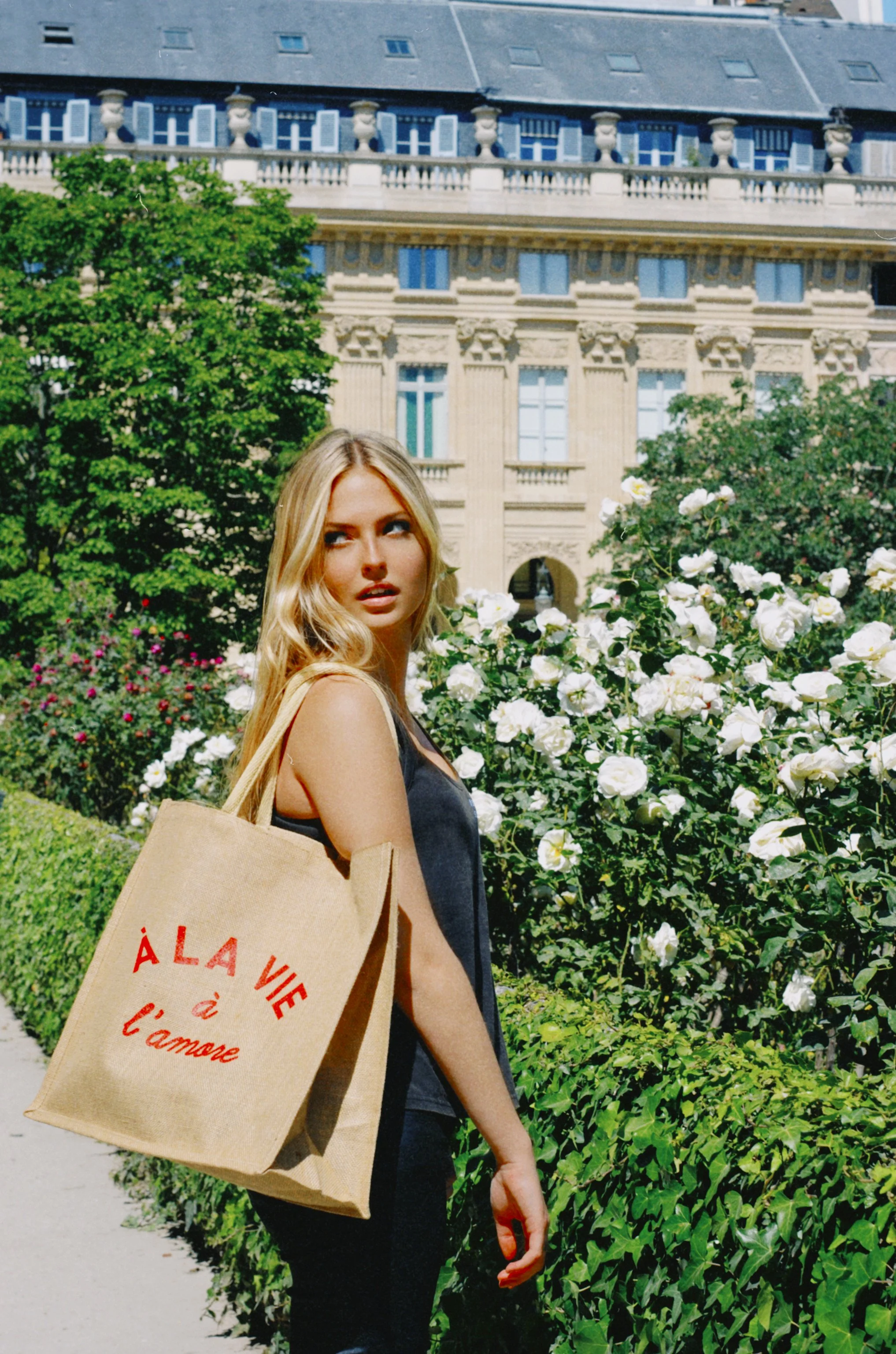 AfterlightImage 3 2.JPG