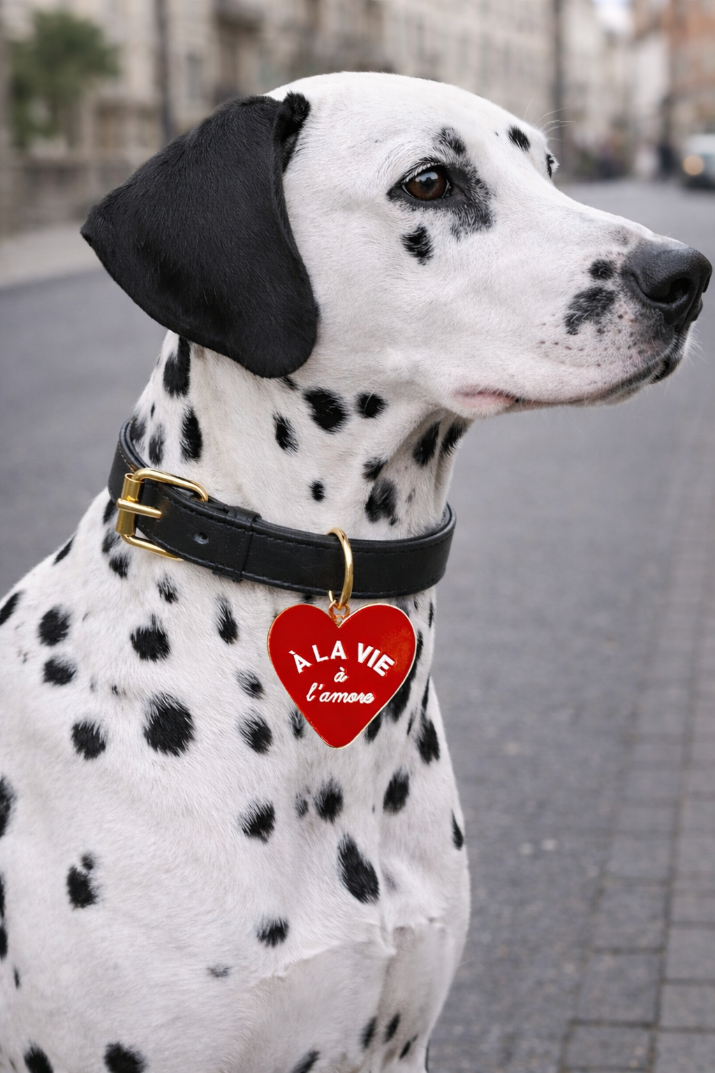 medaille coeur chien.png