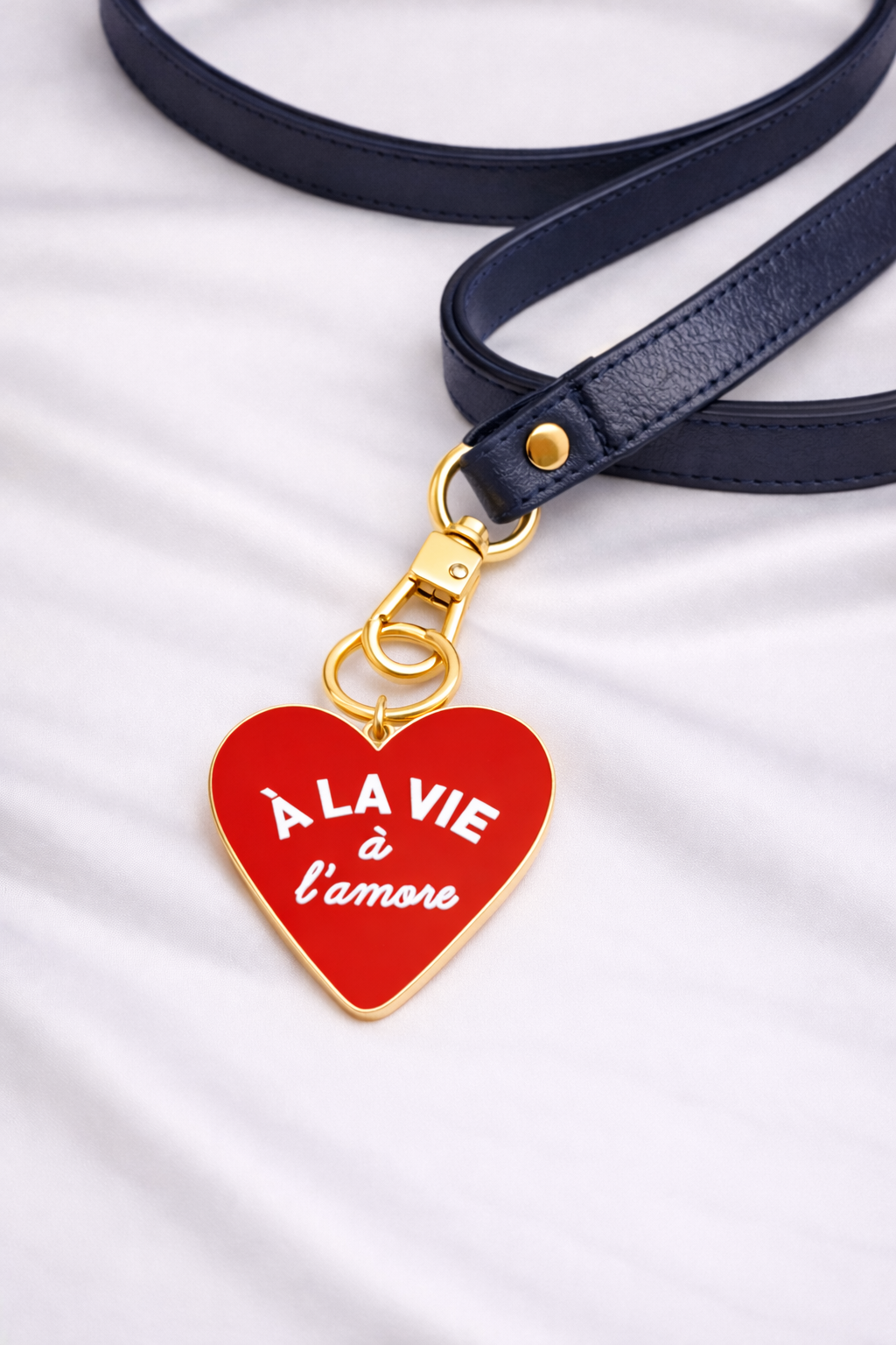 laisse pour chien.png