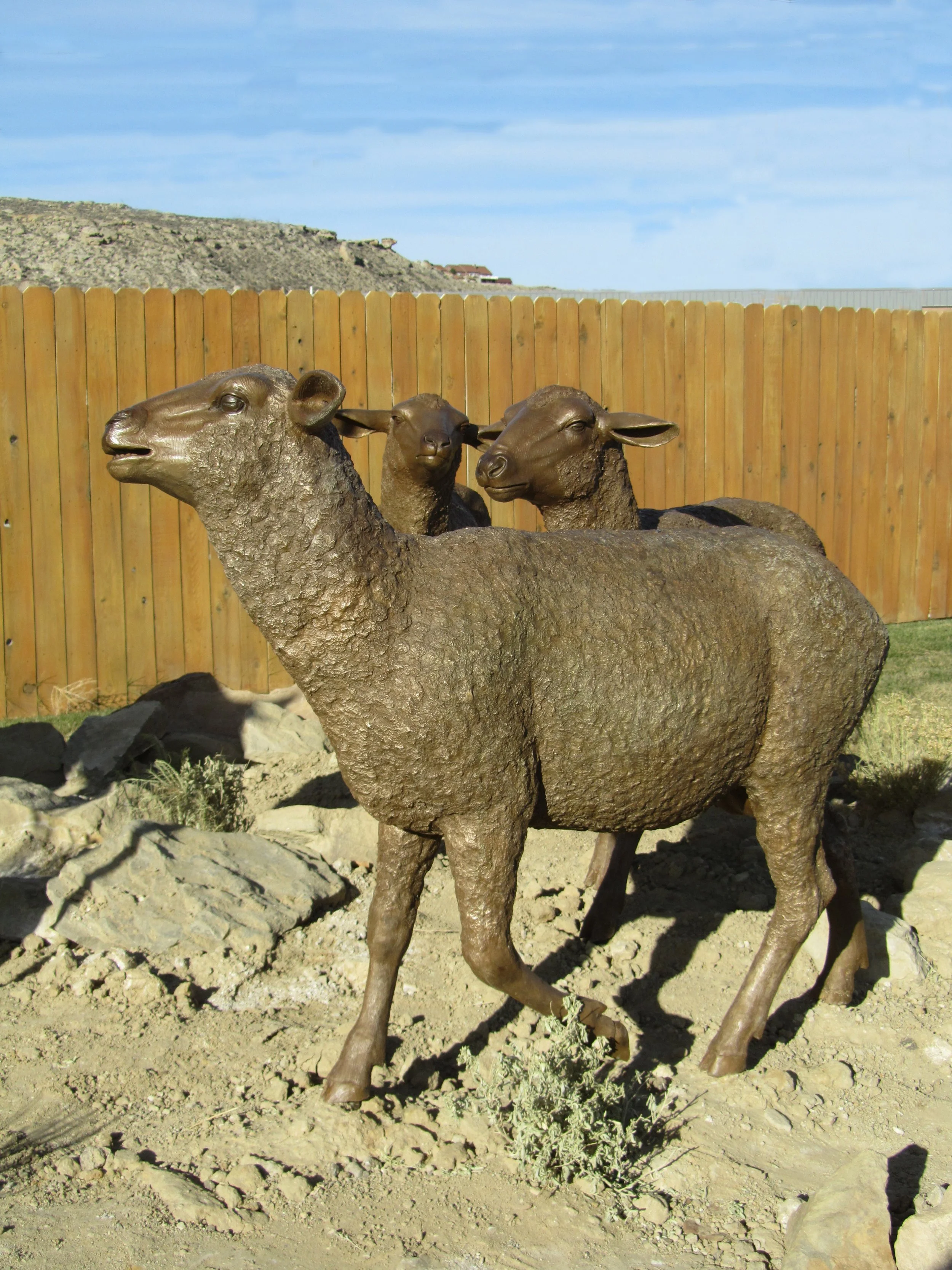 05LambingSeasonDetail.jpg