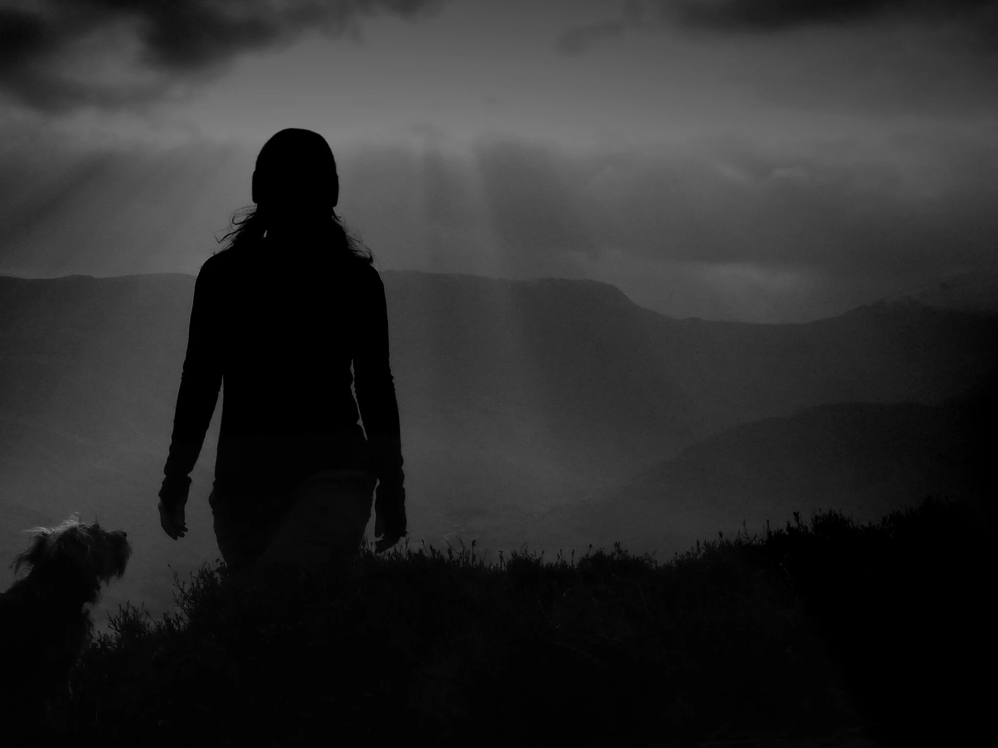 12660744485_062c56ca78_k.jpg