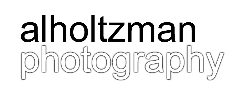 alholtzman.com