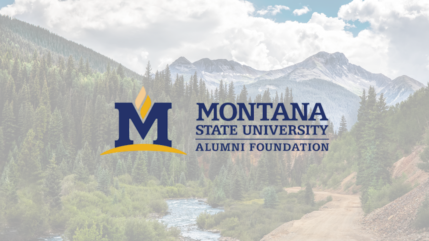 MSU Alumni Foundation