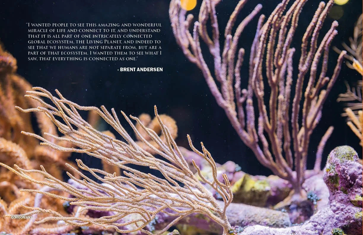 Annual Report 202531.jpg