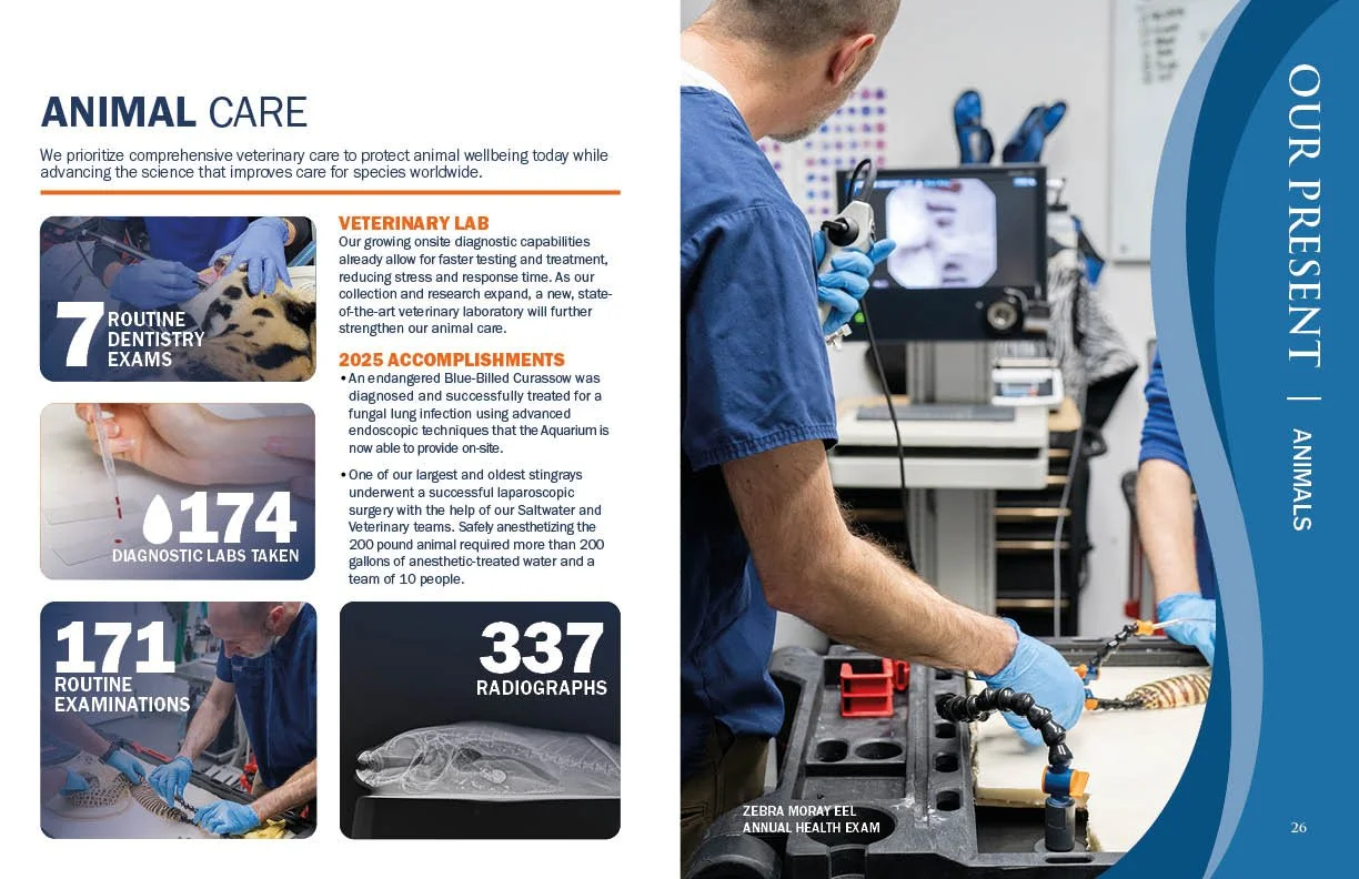 Annual Report 202514.jpg