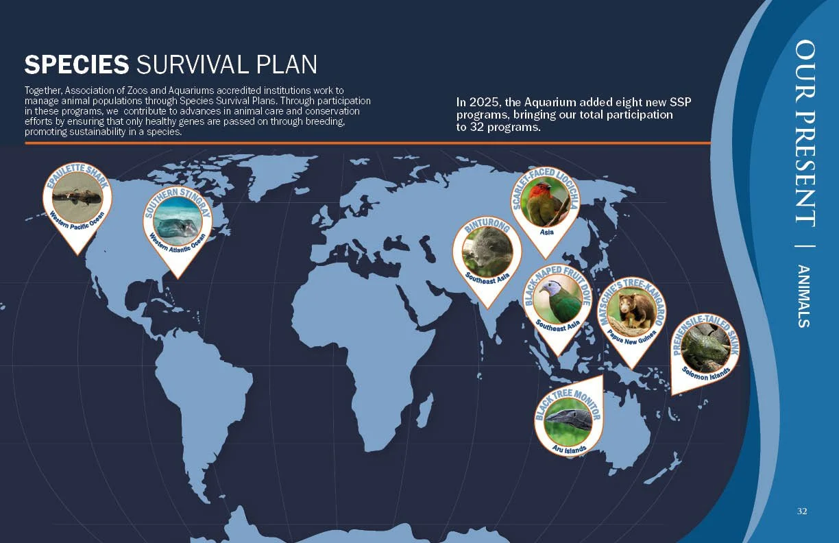 Annual Report 202517.jpg