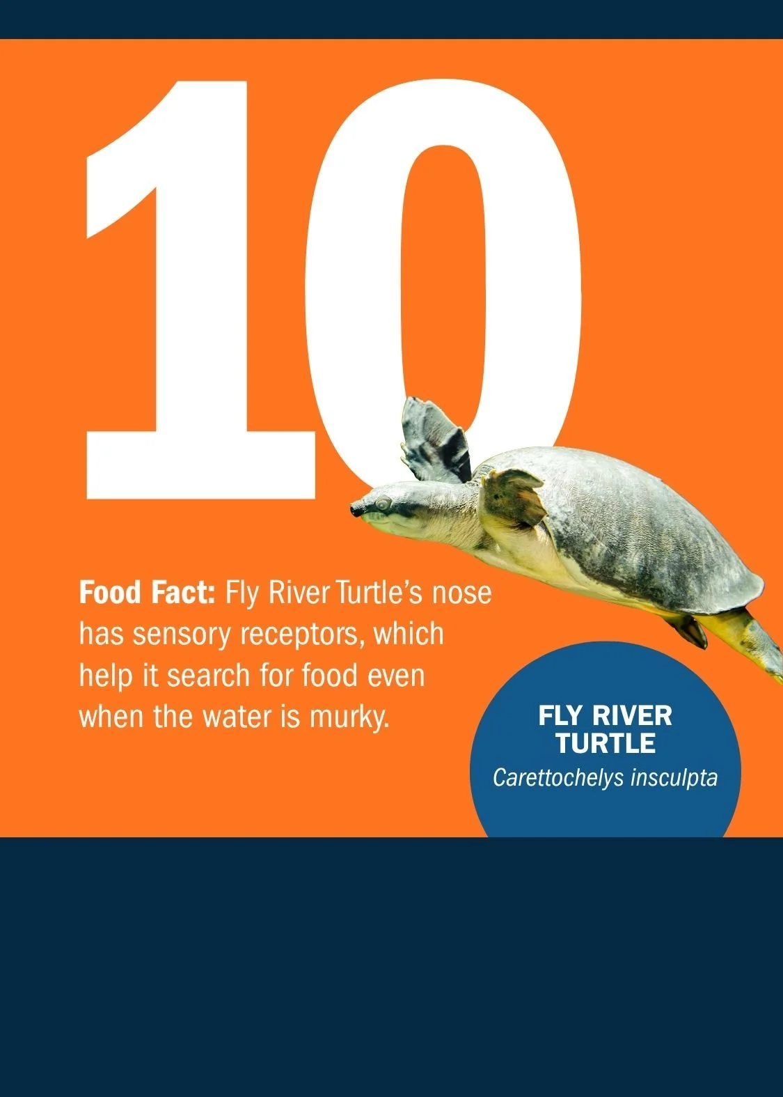 10[1].jpg