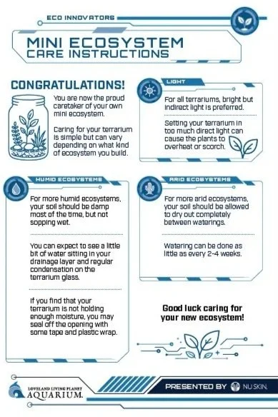 Worm+Care+instructions.jpg
