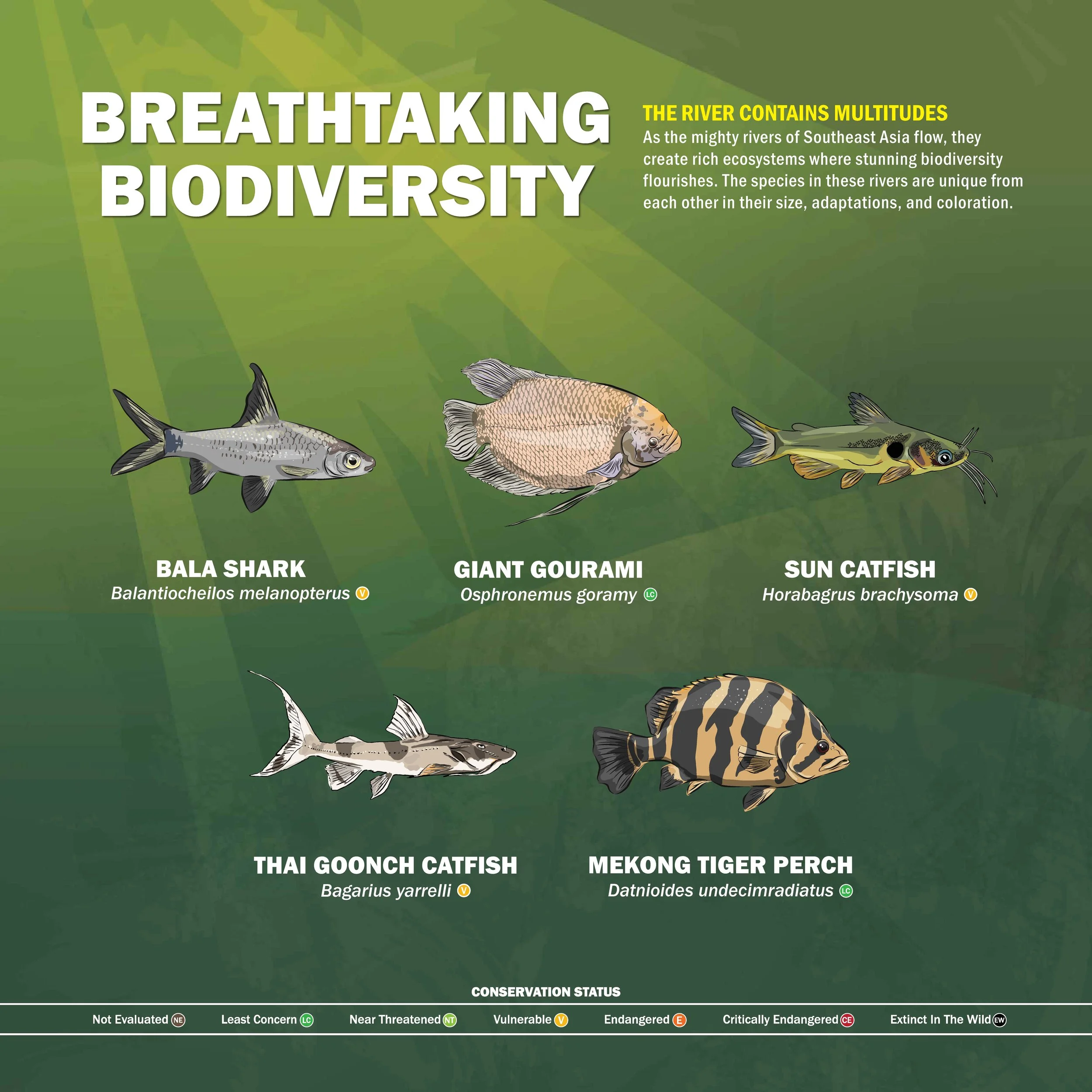 SL02 River Channel (SPE INT) Right Side (1).jpg