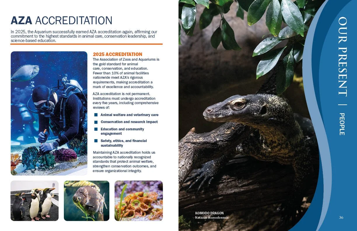 Annual Report 202519.jpg