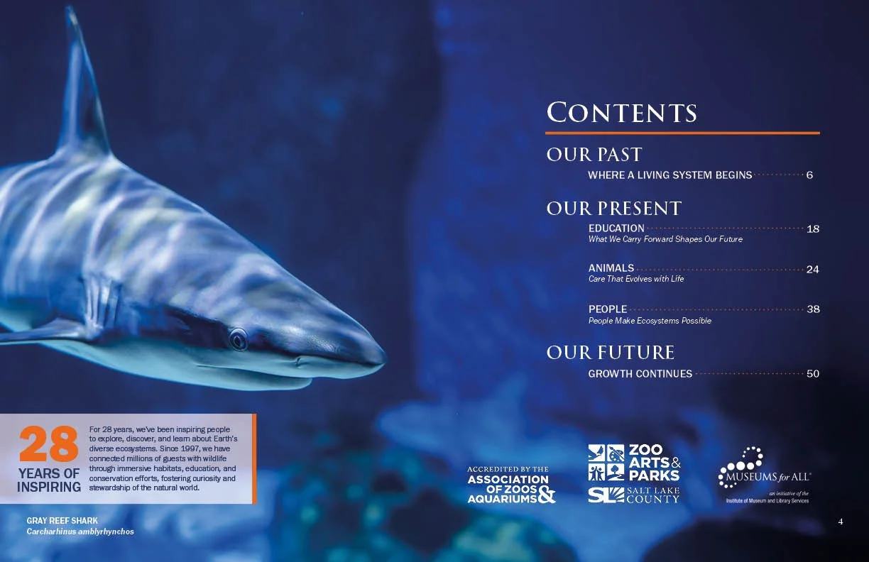 Annual Report 20253.jpg