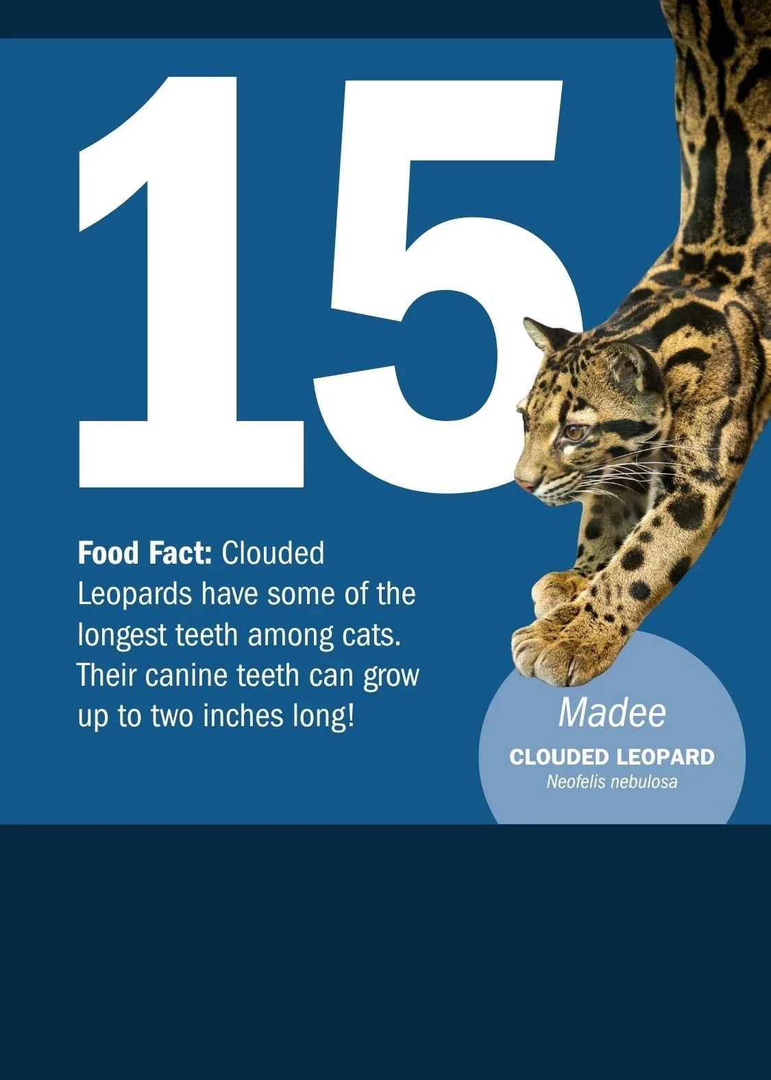 15[1].jpg
