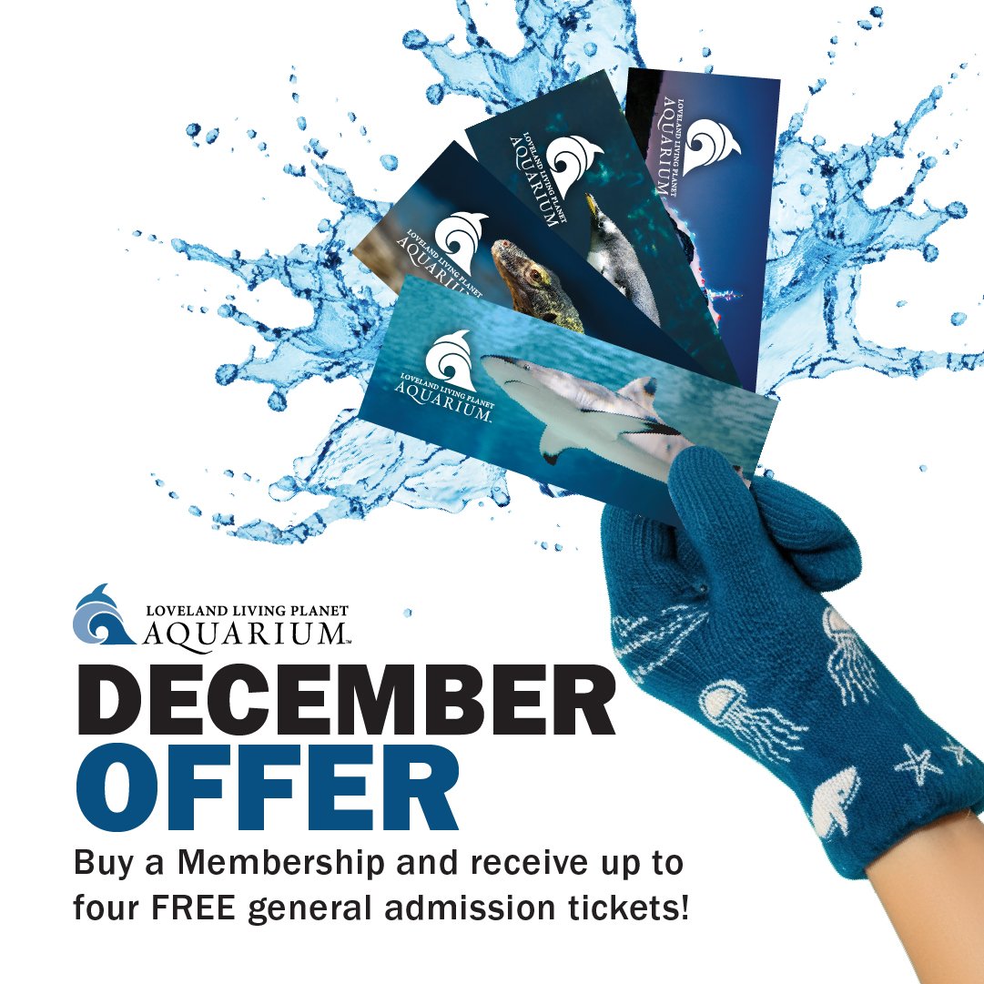 Dec Offer 1080x1080 -100.jpg