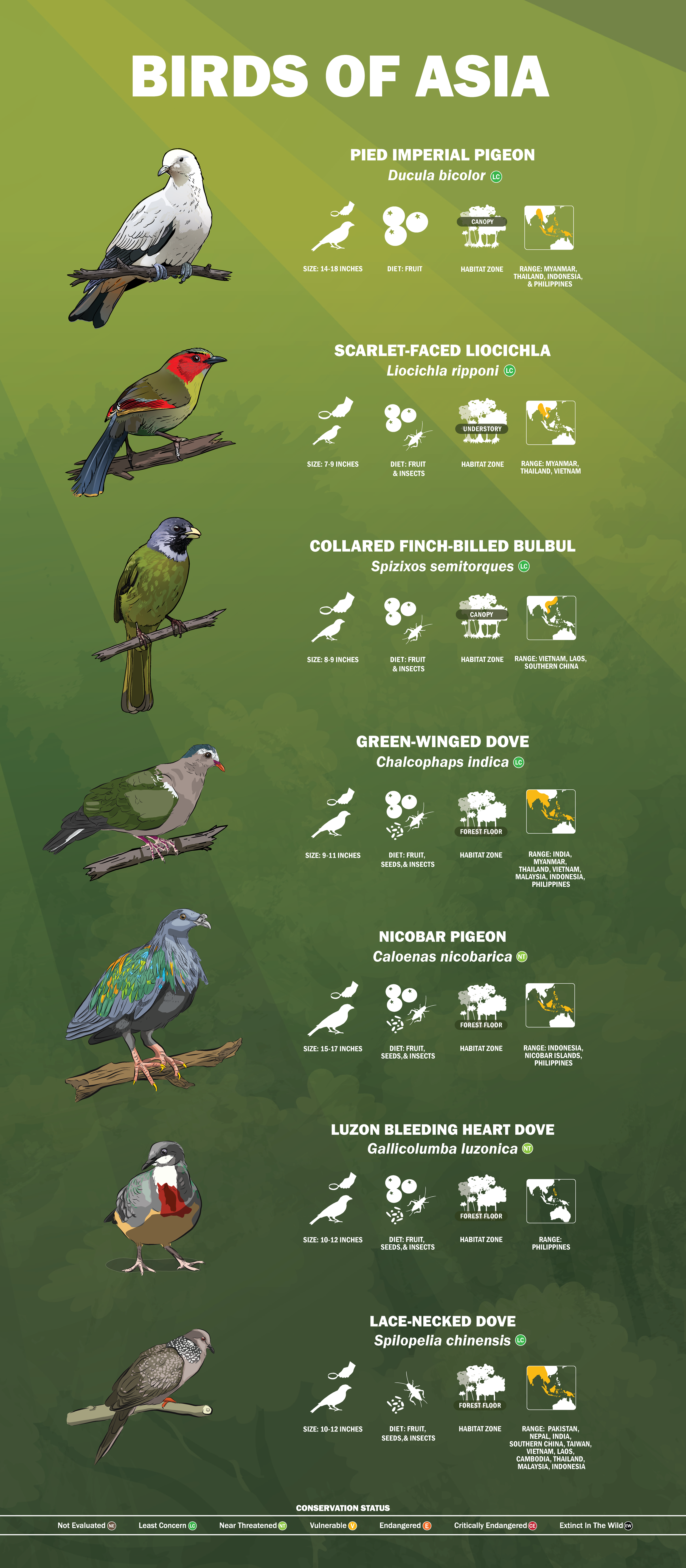 JSA11 Free Birds ALL (SPE) 20x46.png