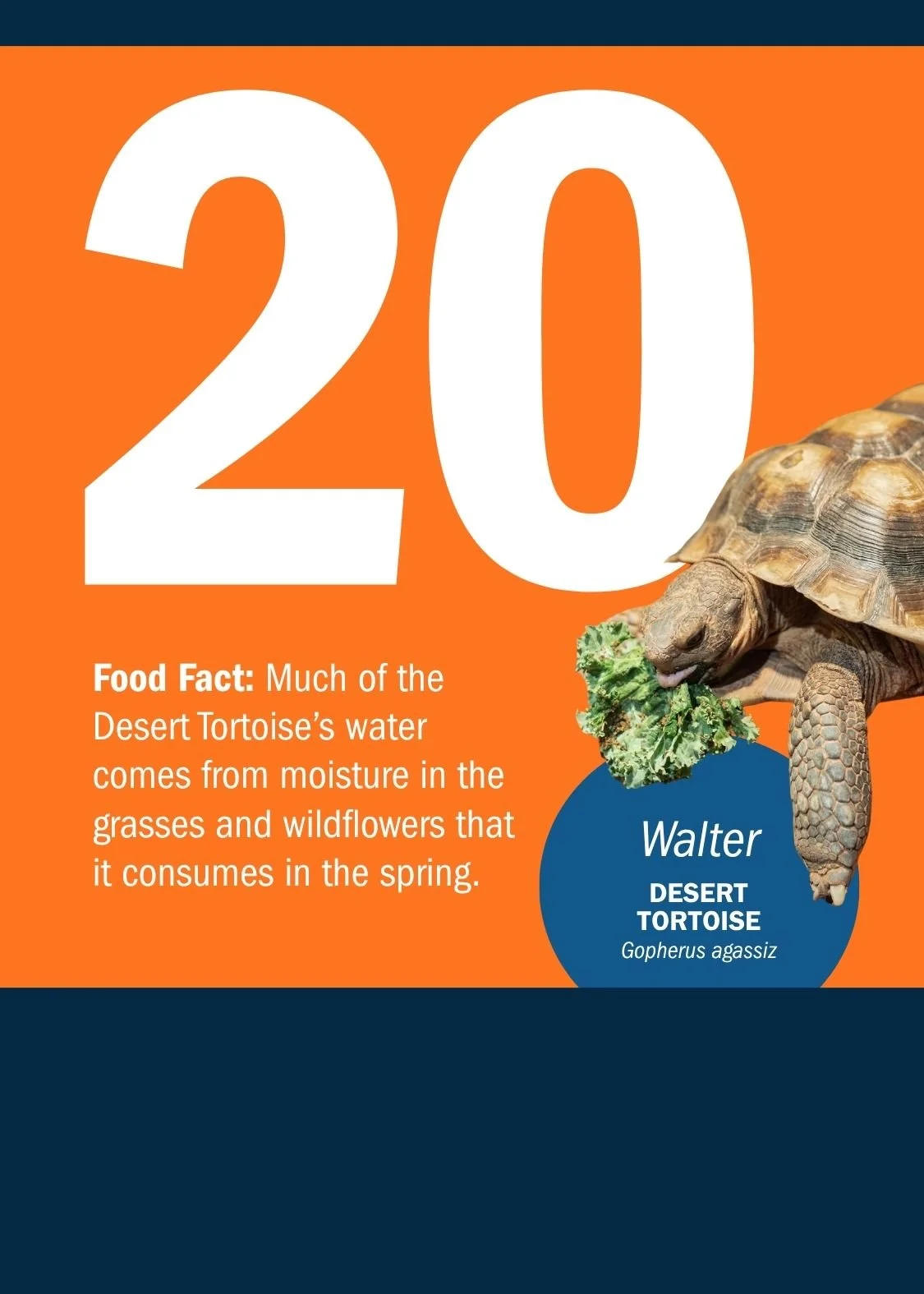 20[1].jpg