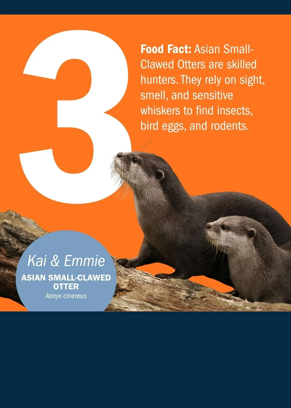3[1].jpg