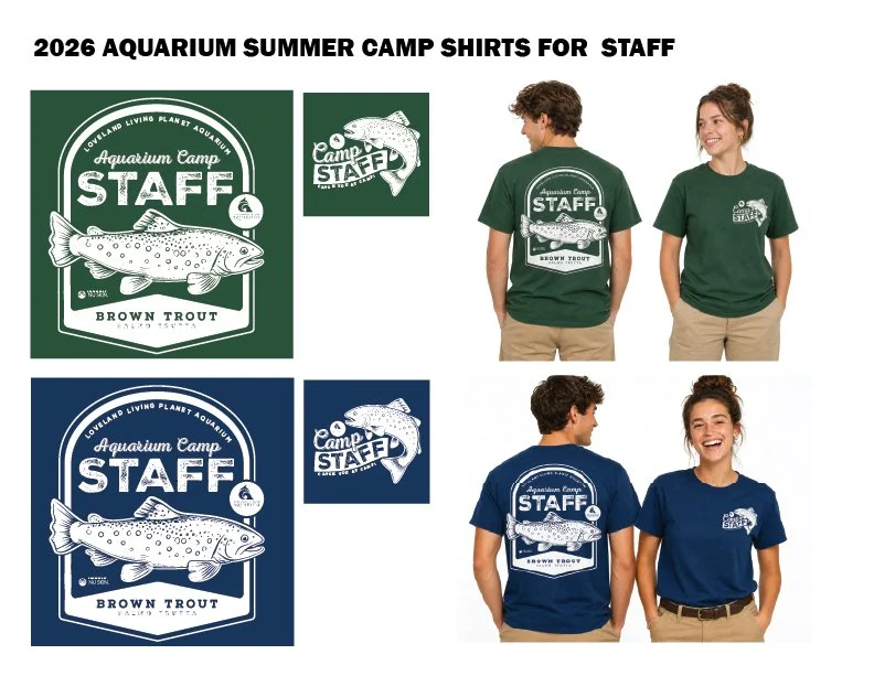 Counselors mockup.jpg