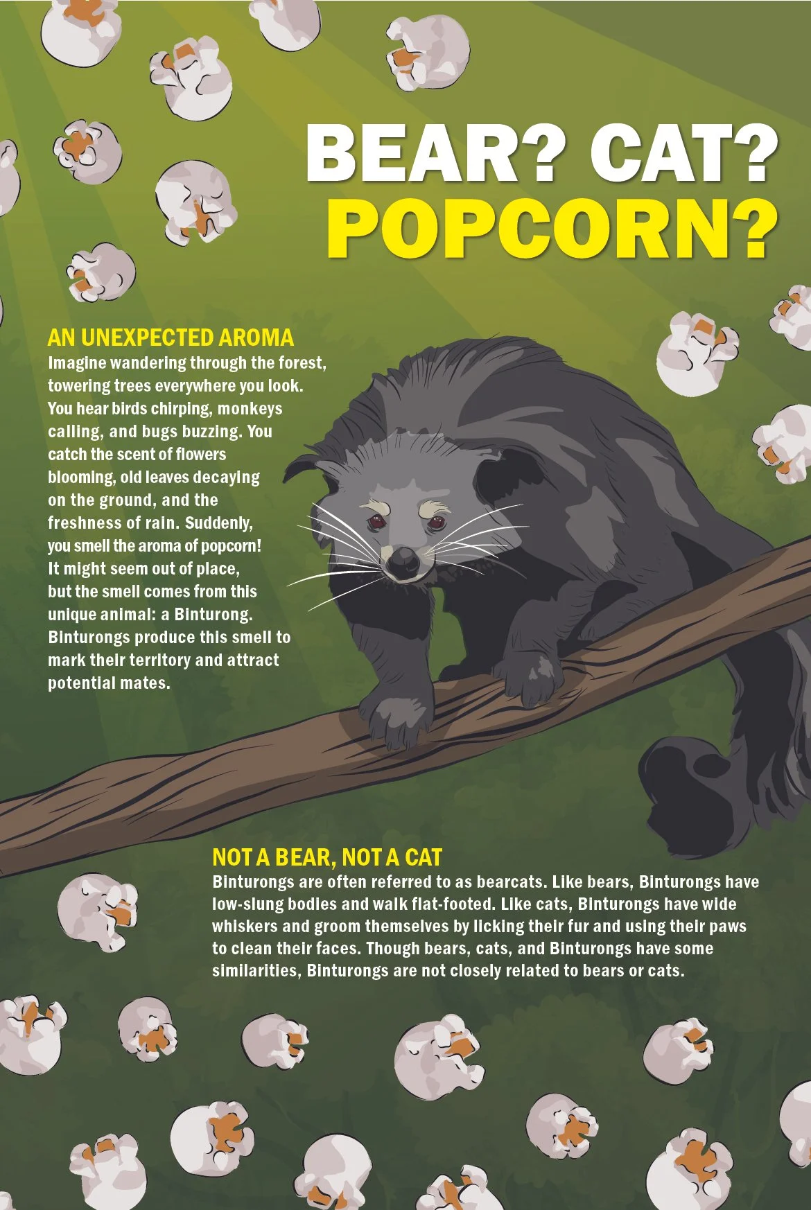 SL07 Binturong (INT) Upper Level Interpretive Sign.jpg