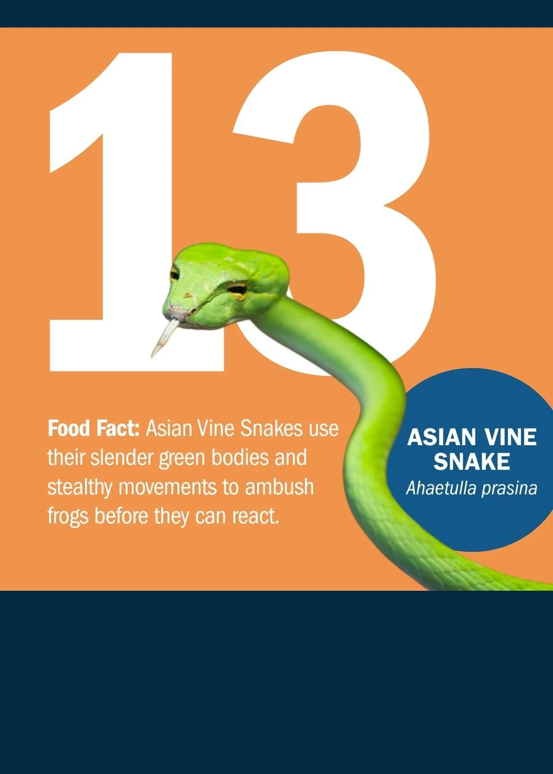 13[1].jpg
