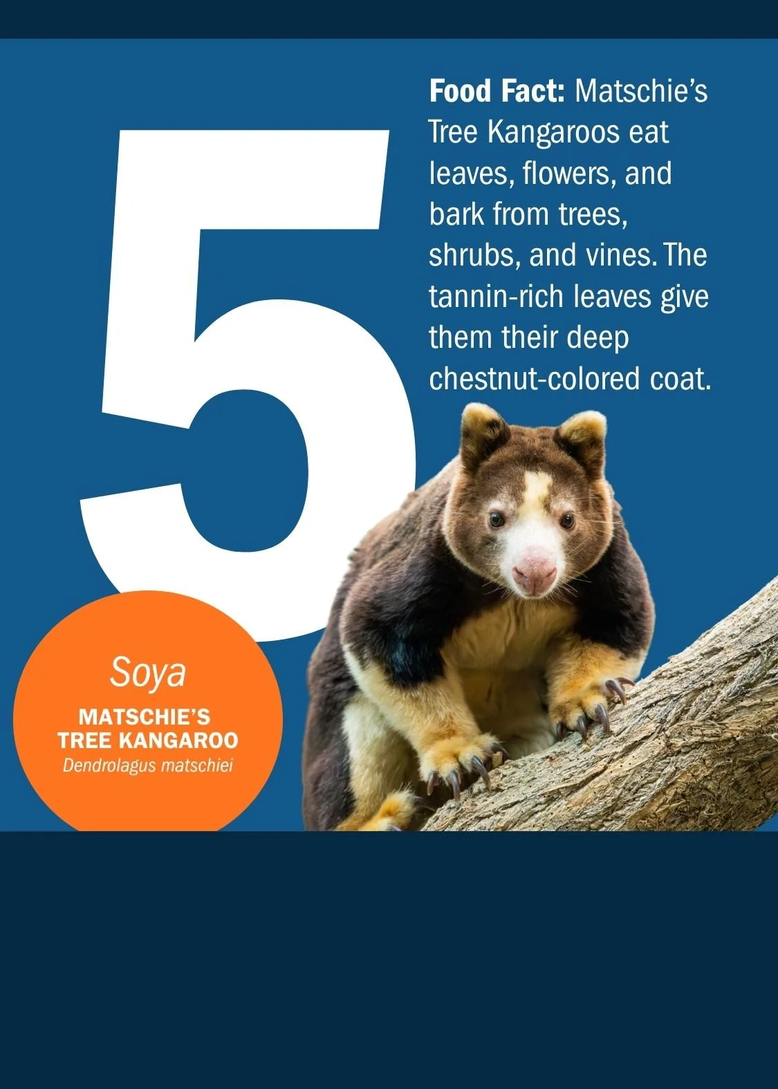5[1].jpg