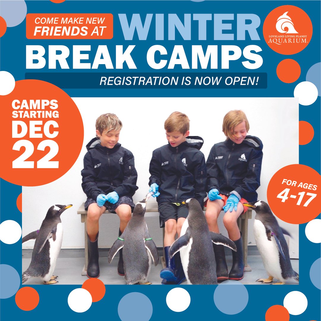 School Break Camps (2025) Digital Ads V2 1080 x 1080.jpg