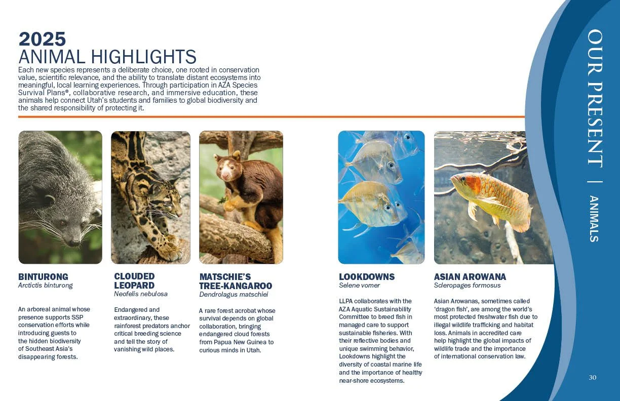 Annual Report 202516.jpg