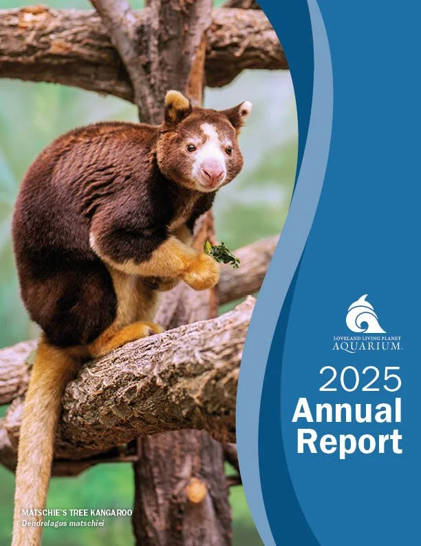 Annual Report 2025.jpg