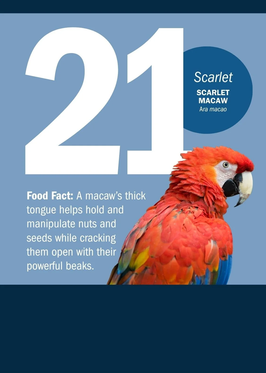 21[1].jpg