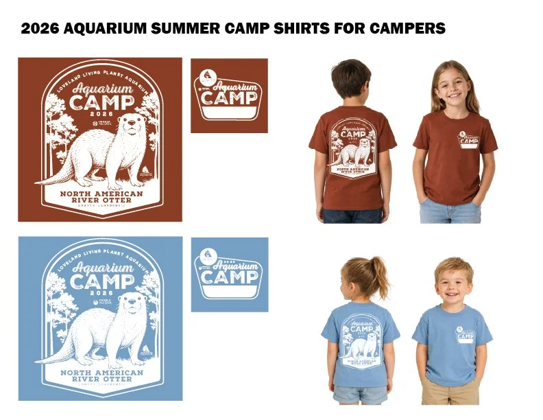 Campers Mockup.jpg