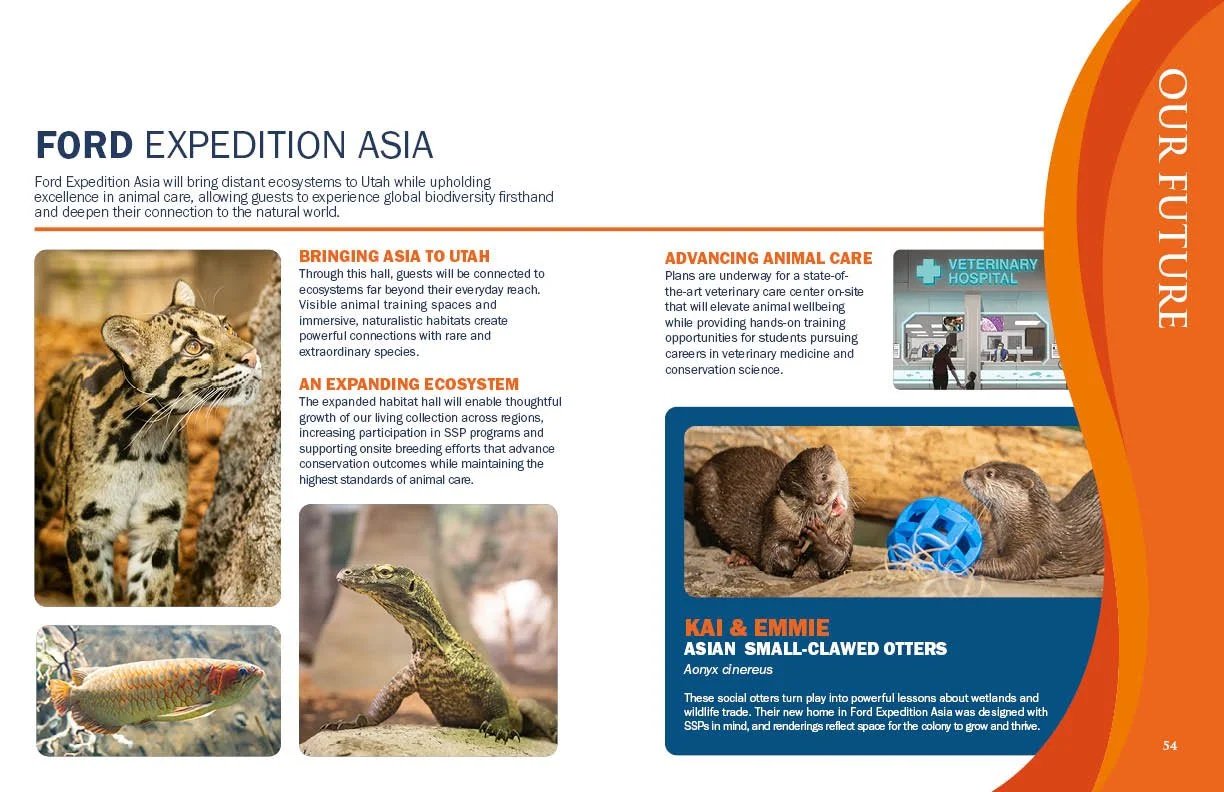 Annual Report 202528.jpg