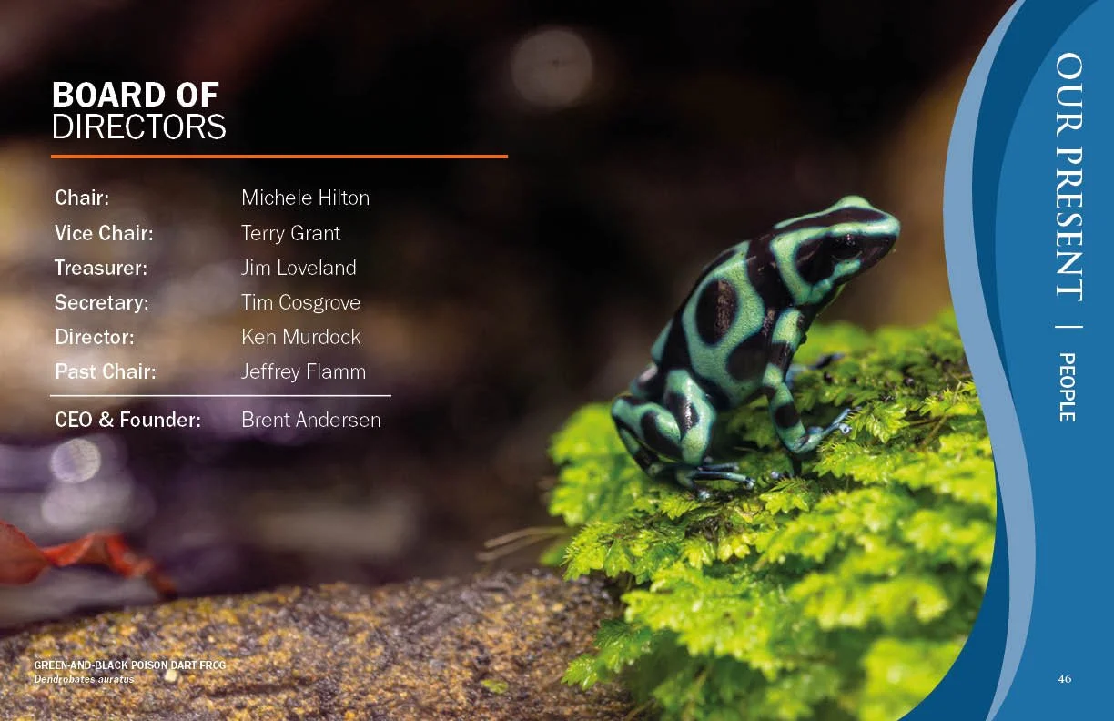 Annual Report 202524.jpg