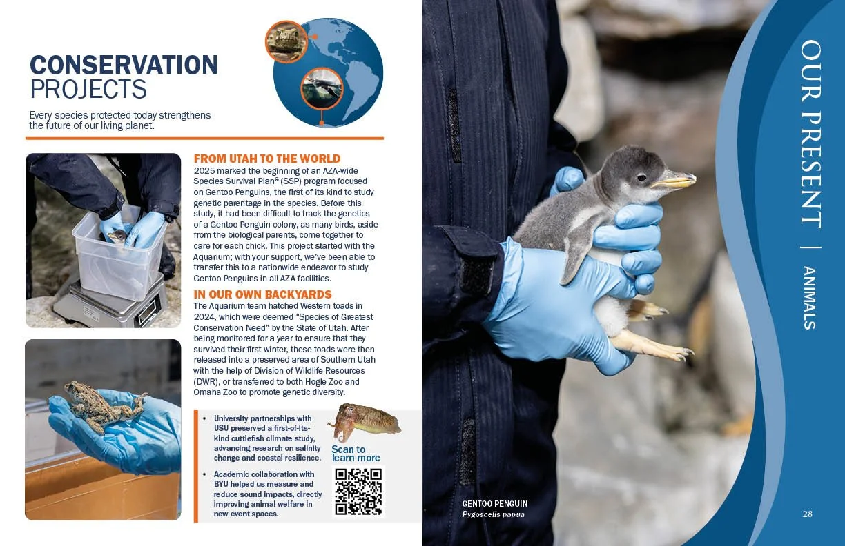 Annual Report 202515.jpg