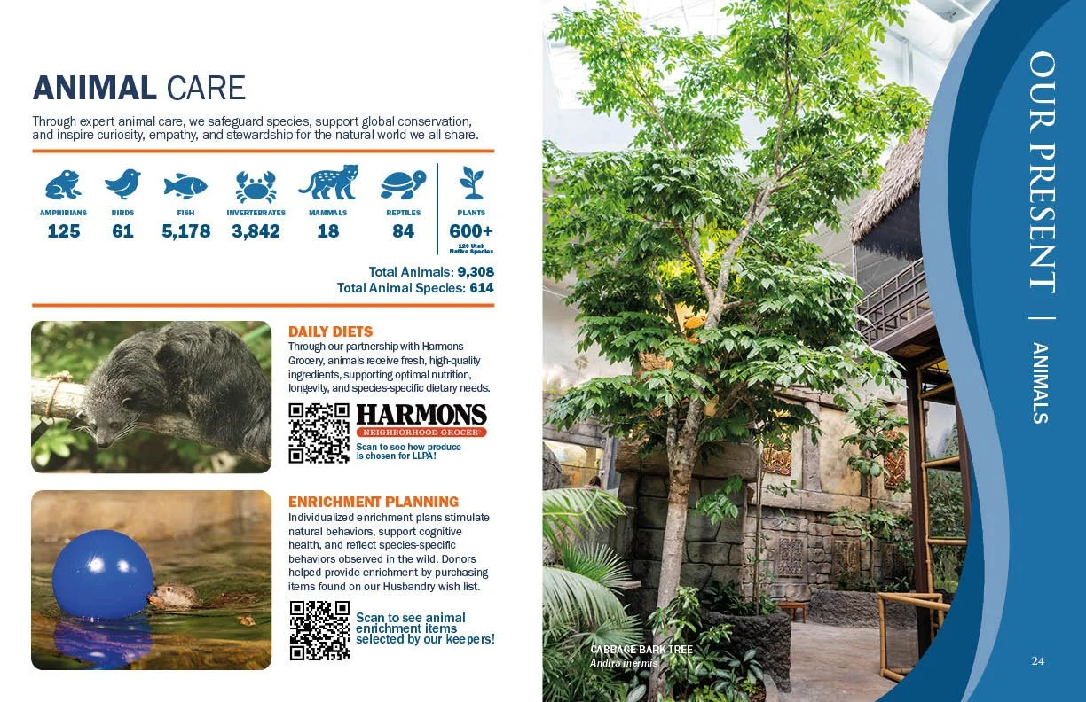 Annual Report 202513.jpg